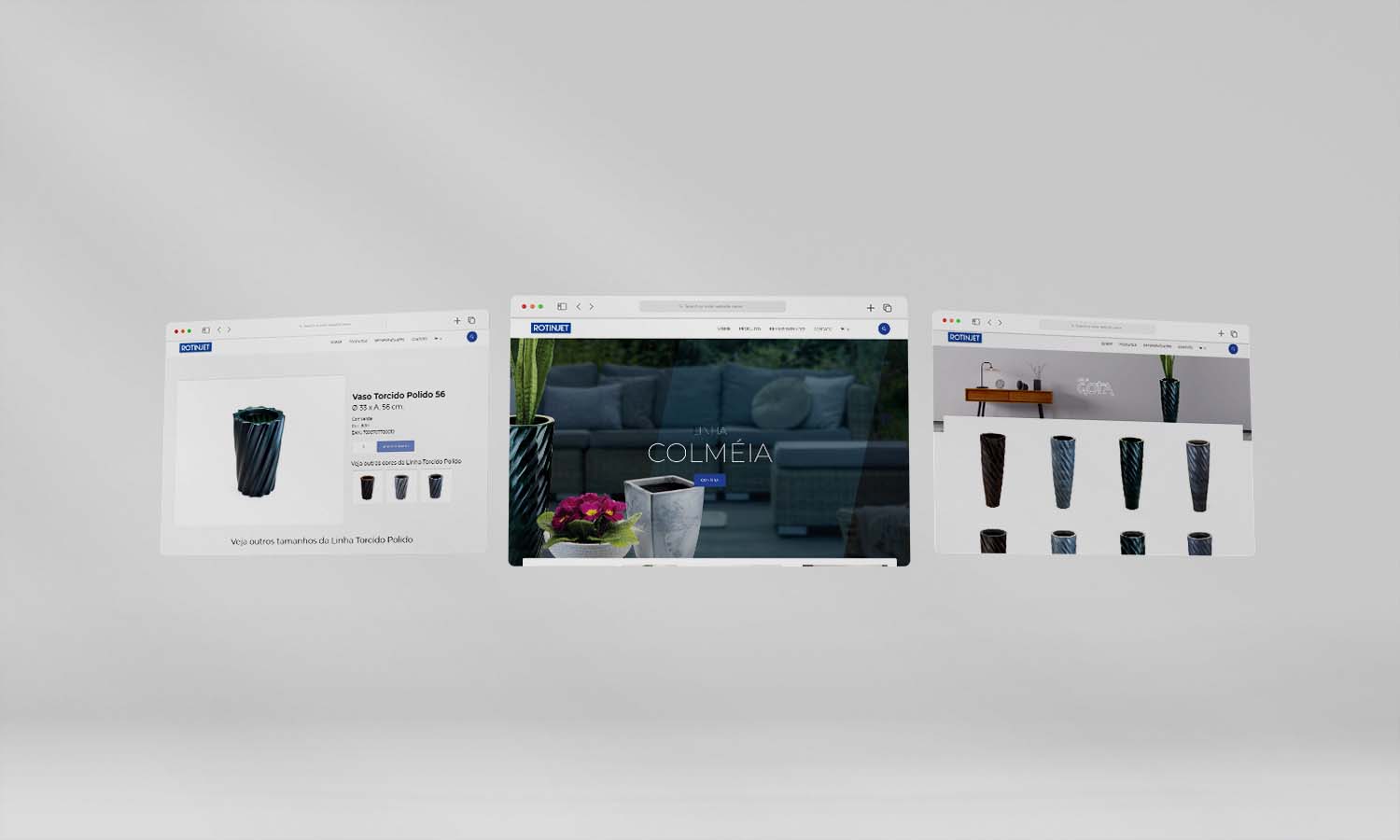 Site Institucional Rotinjet