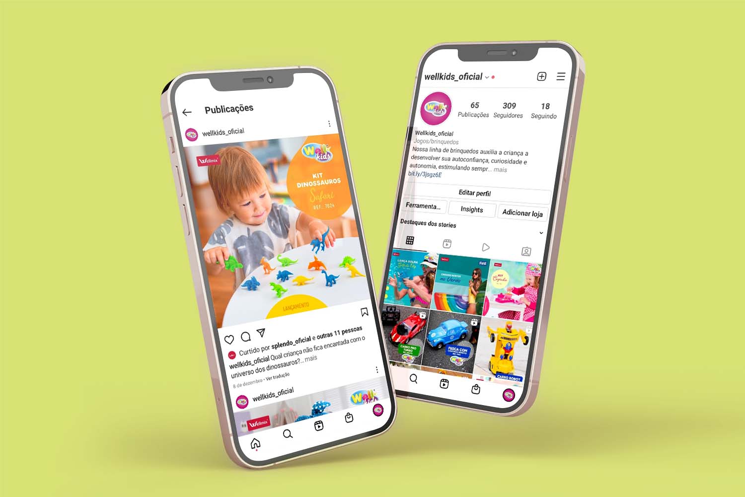 Social Mídia Wellkids