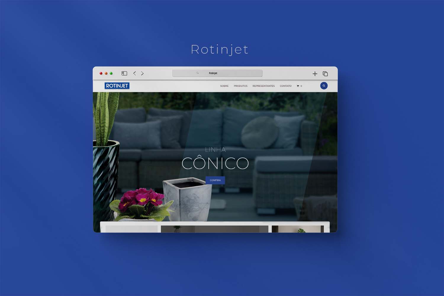 Site Institucional Rotinjet